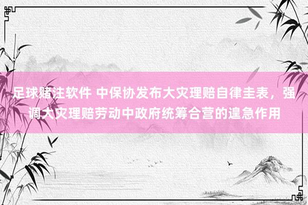 足球赌注软件 中保协发布大灾理赔自律圭表，强调大灾理赔劳动中政府统筹合营的遑急作用