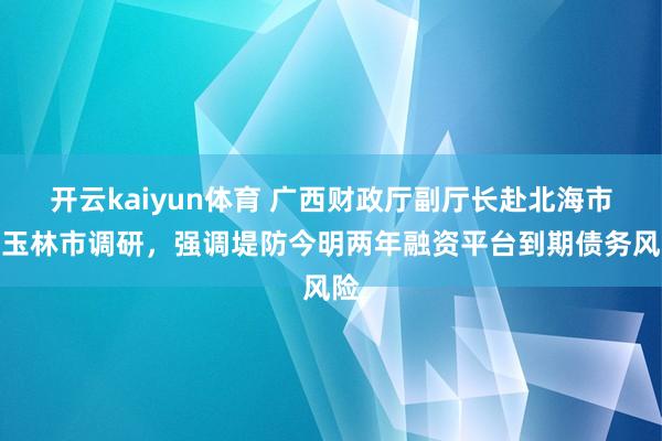 开云kaiyun体育 广西财政厅副厅长赴北海市、玉林市调研，强调堤防今明两年融资平台到期债务风险