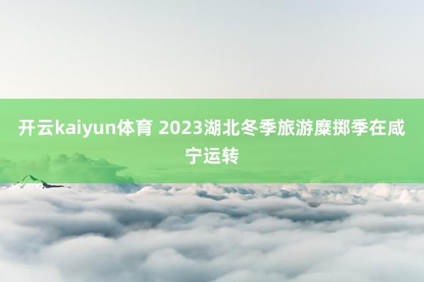 开云kaiyun体育 2023湖北冬季旅游糜掷季在咸宁运转