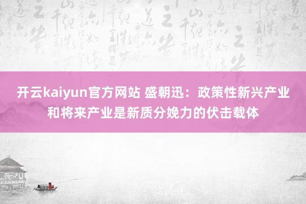 开云kaiyun官方网站 盛朝迅：政策性新兴产业和将来产业是新质分娩力的伏击载体