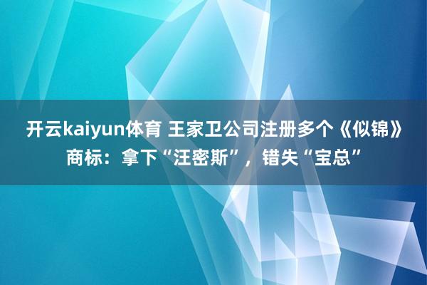 开云kaiyun体育 王家卫公司注册多个《似锦》商标：拿下“汪密斯”，错失“宝总”