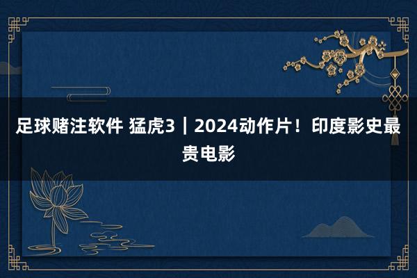 足球赌注软件 猛虎3｜2024动作片！印度影史最贵电影