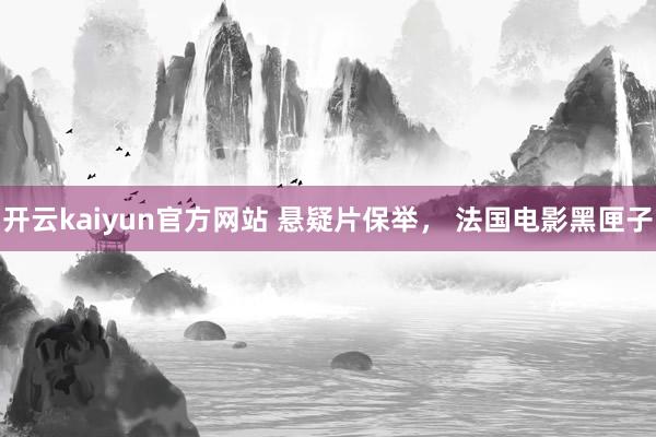 开云kaiyun官方网站 悬疑片保举， 法国电影黑匣子