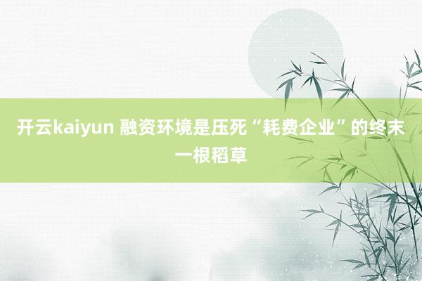 开云kaiyun 融资环境是压死“耗费企业”的终末一根稻草