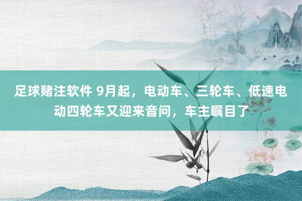 足球赌注软件 9月起，电动车、三轮车、低速电动四轮车又迎来音问，车主瞩目了