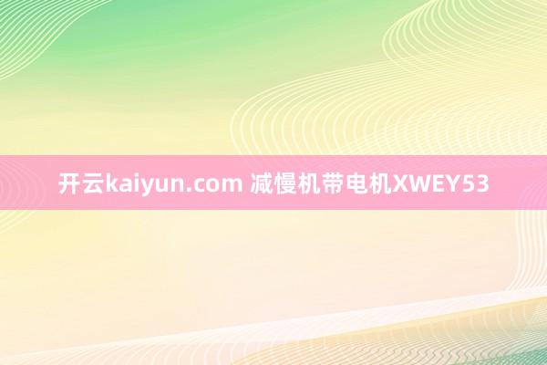 开云kaiyun.com 减慢机带电机XWEY53