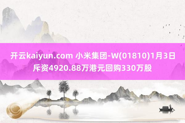 开云kaiyun.com 小米集团-W(01810)1月3日斥资4920.88万港元回购330万股