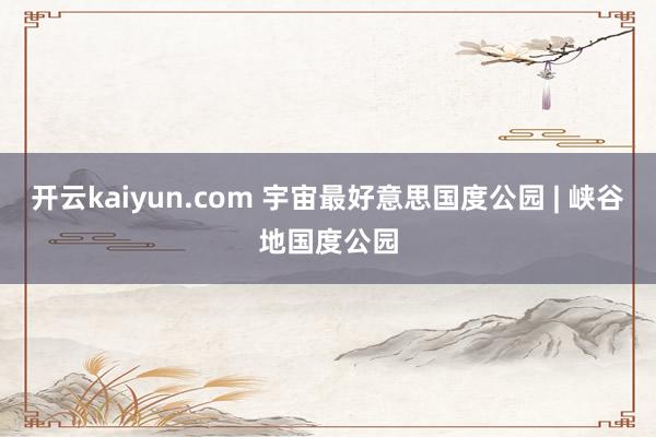 开云kaiyun.com 宇宙最好意思国度公园 | 峡谷地国度公园