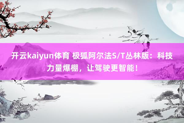 开云kaiyun体育 极狐阿尔法S/T丛林版：科技力量爆棚，让驾驶更智能！