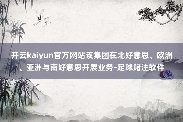 开云kaiyun官方网站该集团在北好意思、欧洲、亚洲与南好意思开展业务-足球赌注软件