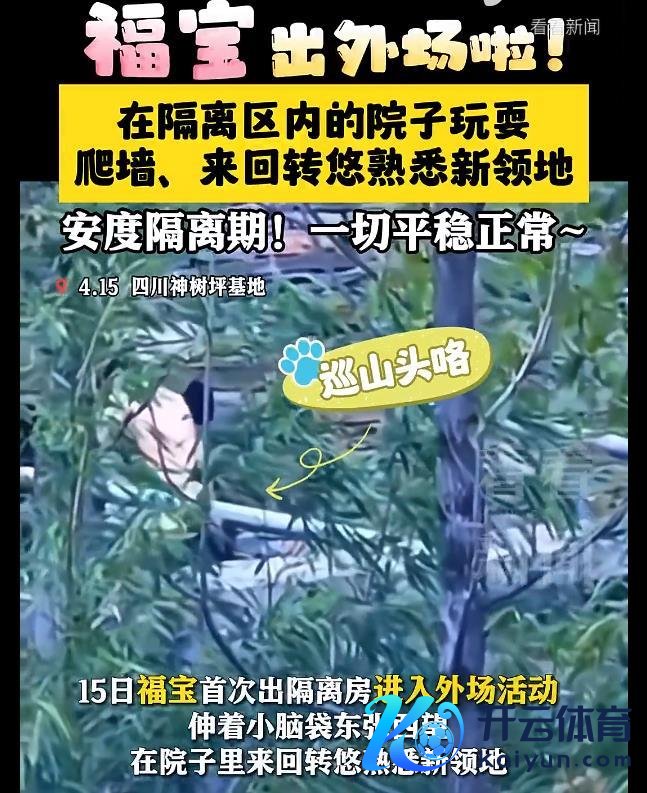 福宝出外场了