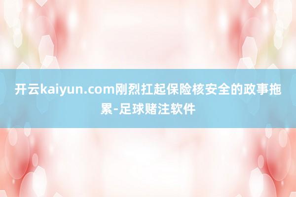 开云kaiyun.com刚烈扛起保险核安全的政事拖累-足球赌注软件