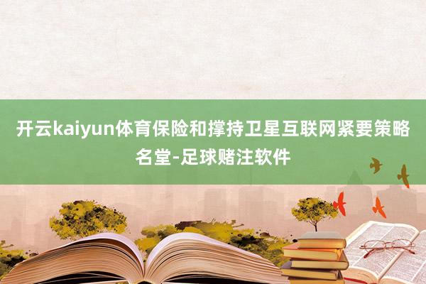 开云kaiyun体育保险和撑持卫星互联网紧要策略名堂-足球赌注软件