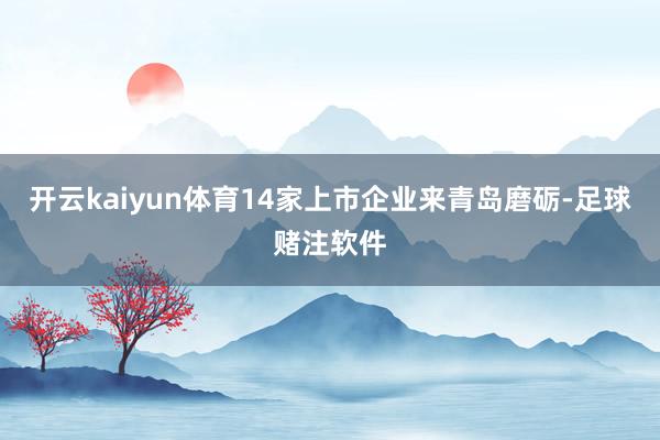 开云kaiyun体育14家上市企业来青岛磨砺-足球赌注软件