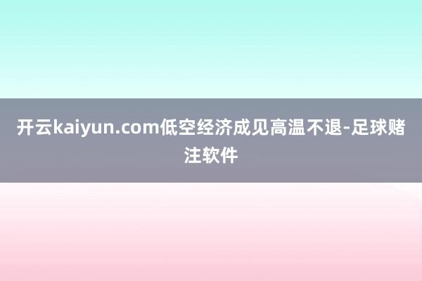 开云kaiyun.com低空经济成见高温不退-足球赌注软件