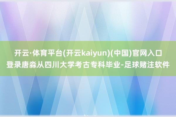 开云·体育平台(开云kaiyun)(中国)官网入口登录唐淼从四川大学考古专科毕业-足球赌注软件