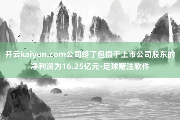 开云kaiyun.com公司终了包摄于上市公司股东的净利润为16.25亿元-足球赌注软件