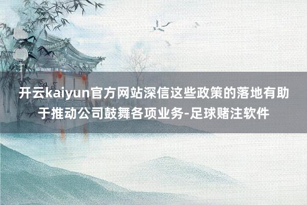 开云kaiyun官方网站深信这些政策的落地有助于推动公司鼓舞各项业务-足球赌注软件