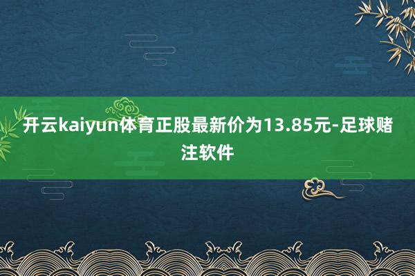 开云kaiyun体育正股最新价为13.85元-足球赌注软件