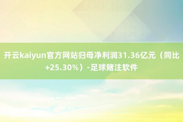 开云kaiyun官方网站归母净利润31.36亿元（同比+25.30%）-足球赌注软件