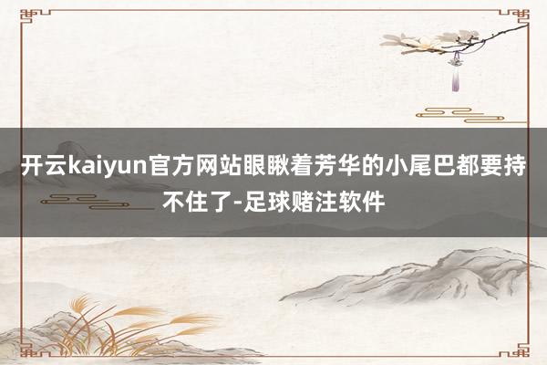 开云kaiyun官方网站眼瞅着芳华的小尾巴都要持不住了-足球赌注软件