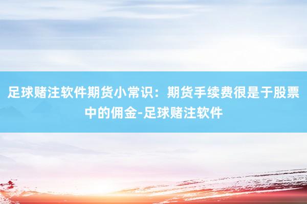 足球赌注软件期货小常识：期货手续费很是于股票中的佣金-足球赌注软件