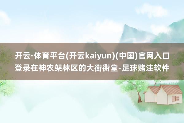 开云·体育平台(开云kaiyun)(中国)官网入口登录在神农架林区的大街衖堂-足球赌注软件