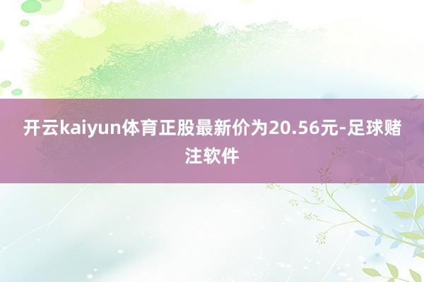 开云kaiyun体育正股最新价为20.56元-足球赌注软件