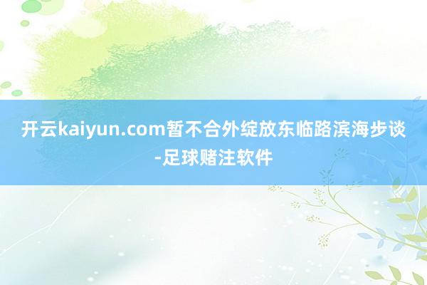 开云kaiyun.com暂不合外绽放东临路滨海步谈-足球赌注软件