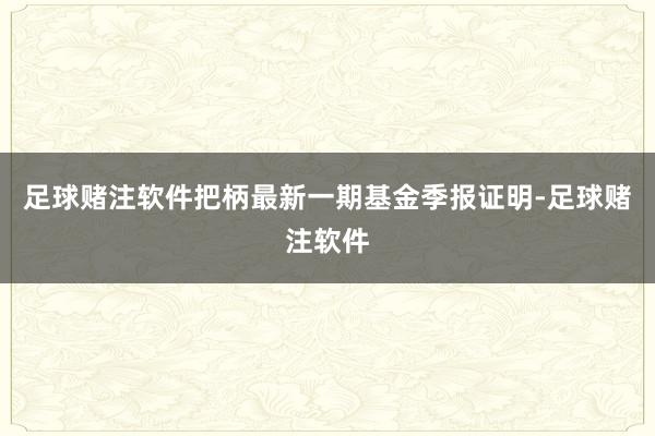 足球赌注软件把柄最新一期基金季报证明-足球赌注软件