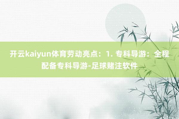 开云kaiyun体育劳动亮点：1. 专科导游：全程配备专科导游-足球赌注软件