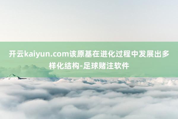 开云kaiyun.com该原基在进化过程中发展出多样化结构-足球赌注软件