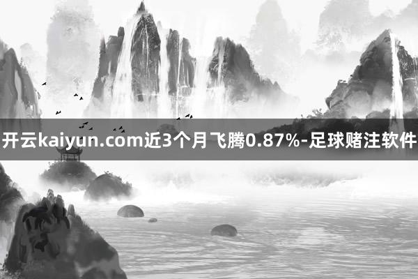 开云kaiyun.com近3个月飞腾0.87%-足球赌注软件