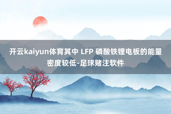 开云kaiyun体育其中 LFP 磷酸铁锂电板的能量密度较低-足球赌注软件