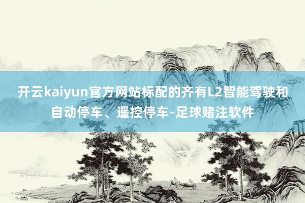 开云kaiyun官方网站标配的齐有L2智能驾驶和自动停车、遥控停车-足球赌注软件