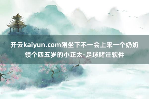 开云kaiyun.com刚坐下不一会上来一个奶奶领个四五岁的小正太-足球赌注软件