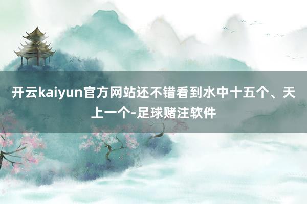 开云kaiyun官方网站还不错看到水中十五个、天上一个-足球赌注软件