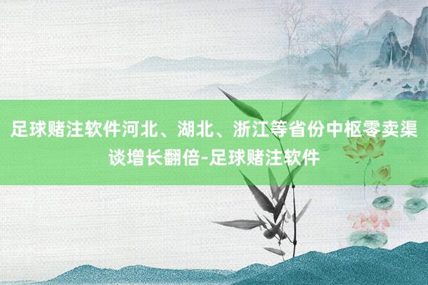 足球赌注软件河北、湖北、浙江等省份中枢零卖渠谈增长翻倍-足球赌注软件