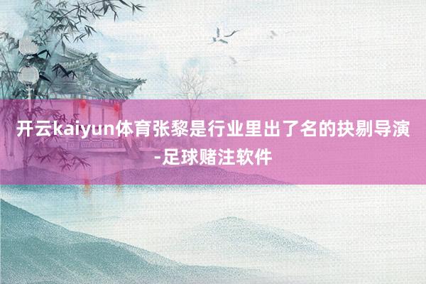 开云kaiyun体育张黎是行业里出了名的抉剔导演-足球赌注软件