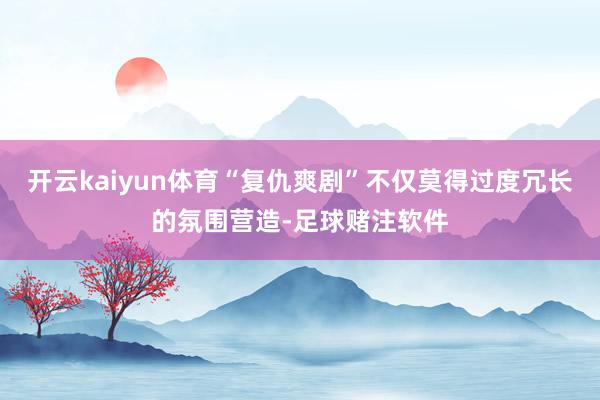 开云kaiyun体育“复仇爽剧”不仅莫得过度冗长的氛围营造-足球赌注软件