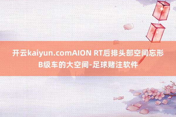 开云kaiyun.comAION RT后排头部空间忘形B级车的大空间-足球赌注软件