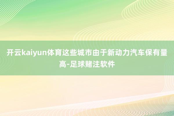 开云kaiyun体育这些城市由于新动力汽车保有量高-足球赌注软件