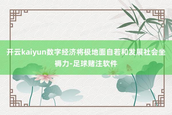 开云kaiyun数字经济将极地面自若和发展社会坐褥力-足球赌注软件