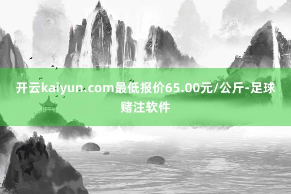 开云kaiyun.com最低报价65.00元/公斤-足球赌注软件