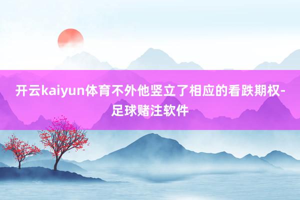 开云kaiyun体育不外他竖立了相应的看跌期权-足球赌注软件