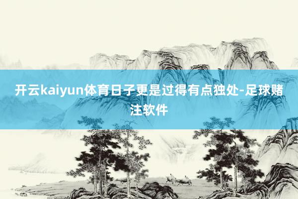 开云kaiyun体育日子更是过得有点独处-足球赌注软件