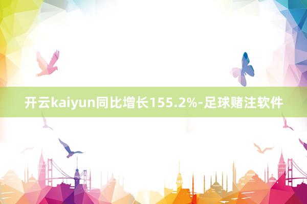 开云kaiyun同比增长155.2%-足球赌注软件