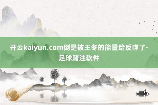 开云kaiyun.com倒是被王冬的能量给反噬了-足球赌注软件