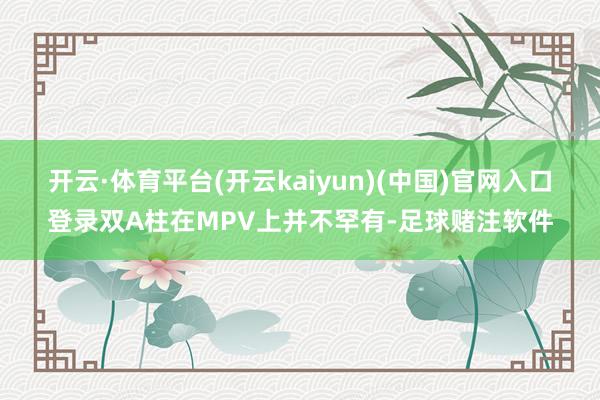 开云·体育平台(开云kaiyun)(中国)官网入口登录双A柱在MPV上并不罕有-足球赌注软件