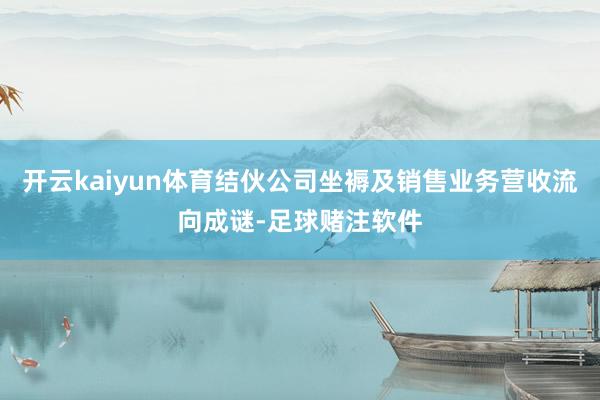 开云kaiyun体育结伙公司坐褥及销售业务营收流向成谜-足球赌注软件